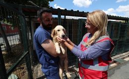 Bakırköy Belediyesi Can Dostlarının Yanında